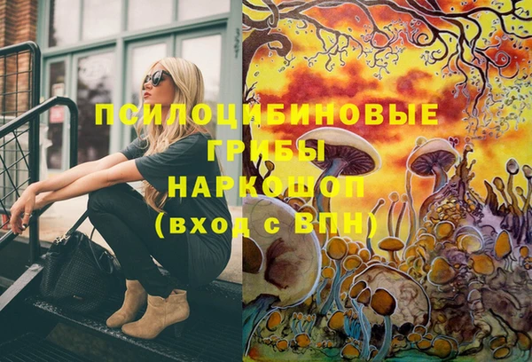 гидропоника Горно-Алтайск