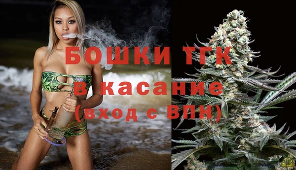 гидропоника Горно-Алтайск