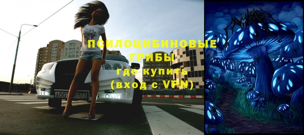 ГАЛЛЮЦИНОГЕННЫЕ ГРИБЫ Сясьстрой
