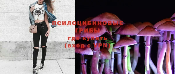 гидропоника Горно-Алтайск